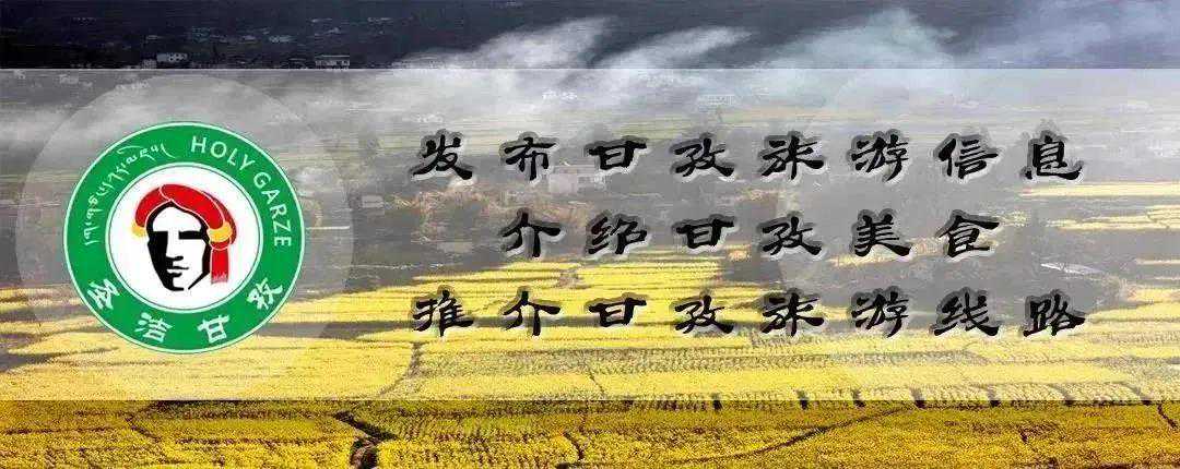 春末夏初，走进雪域最美杜鹃花海