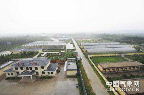 临沂：农试站让气象科学走进设施农业