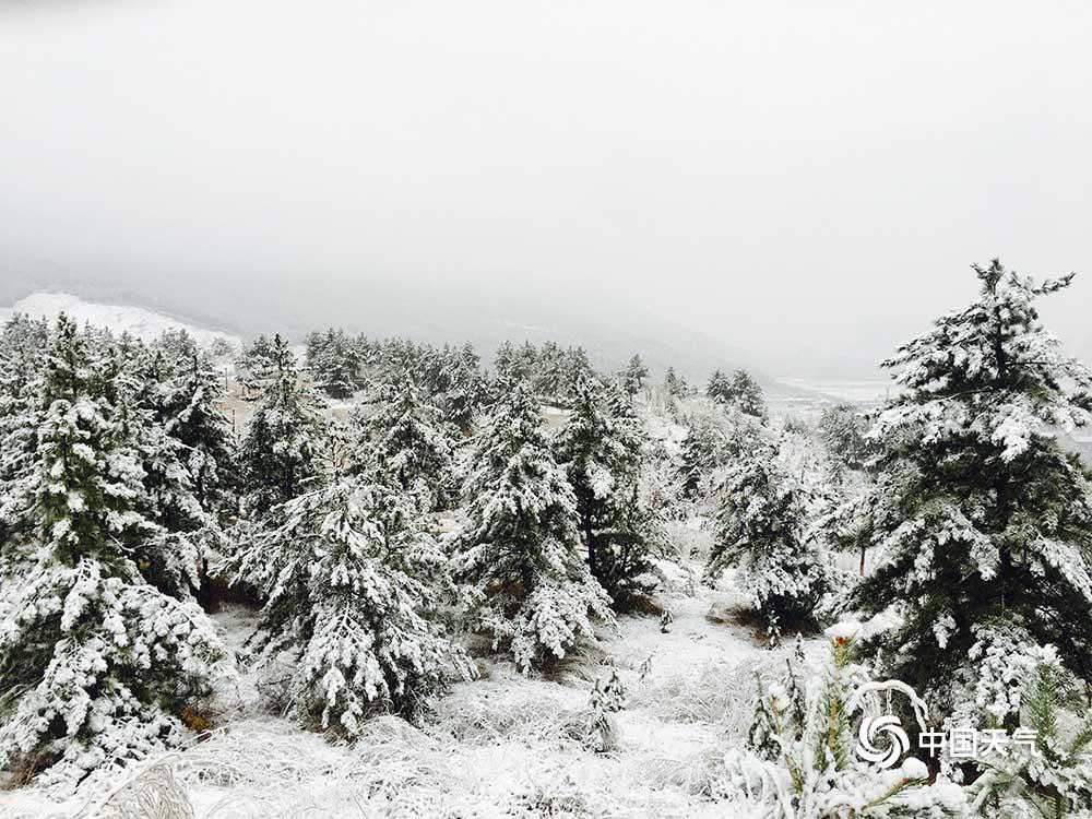 河北承德围场喜迎降雪 有效缓解防火压力