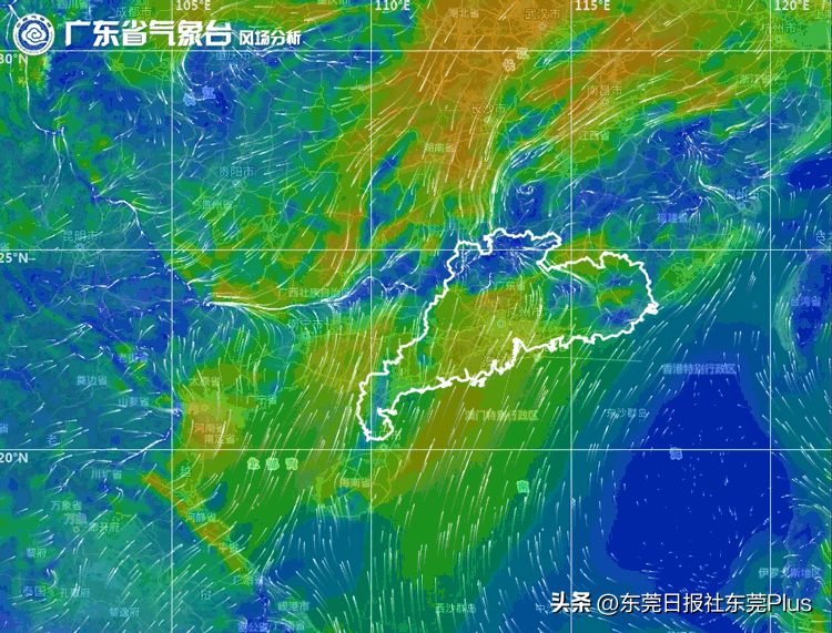 大暴雨+冷空气提前返岗！未来东莞天气预报