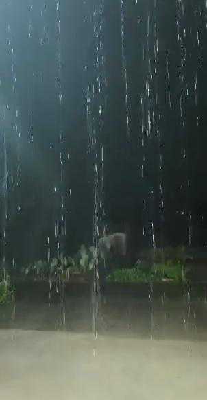 武汉最新天气预报来了！大雨后，今明两天适宜出行
