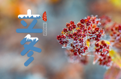 二十四节气之立冬小雪