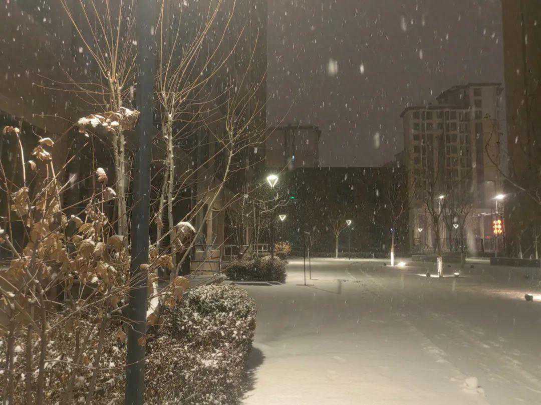 雪还没完！雄安最新天气预报