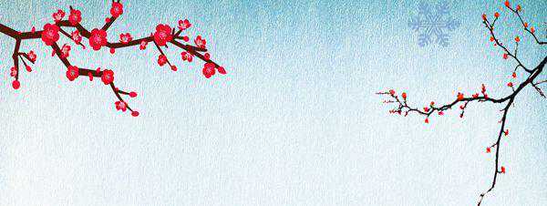 二十四节气之小雪