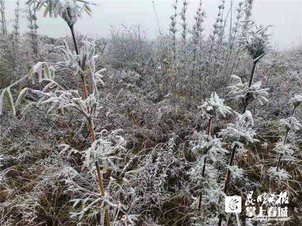 刚刚，东川下雪啦