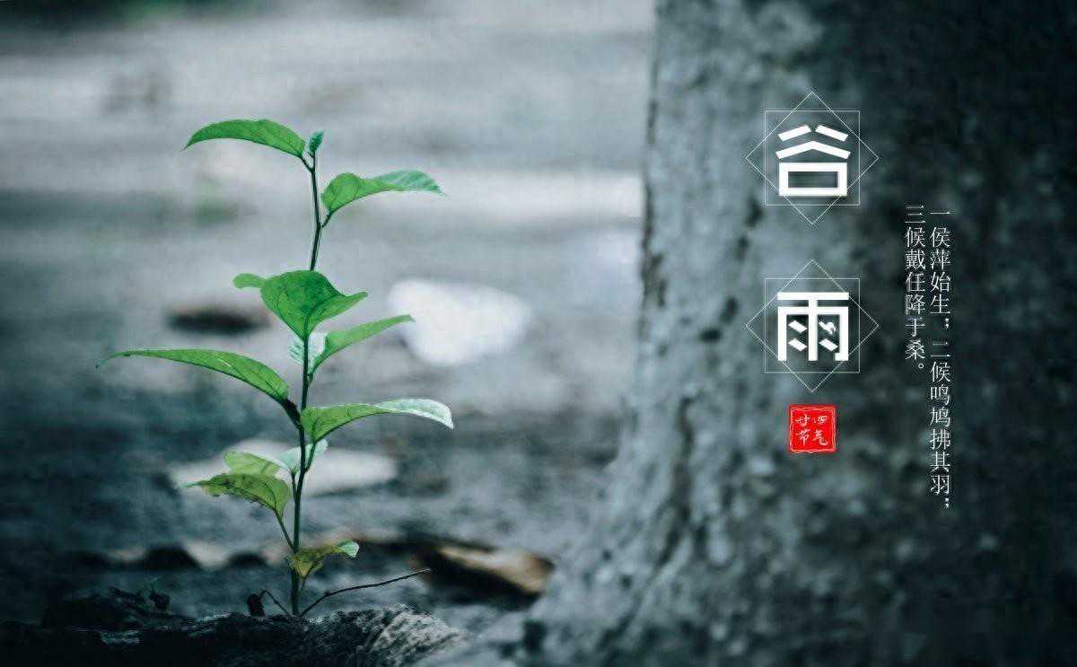 大雨暴雨！新一轮强降雨滚滚来袭，连下6天雨，明天24号天气预报