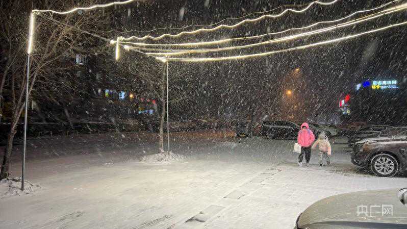 大连市气象局发布暴雪橙色预警  教育局发通知