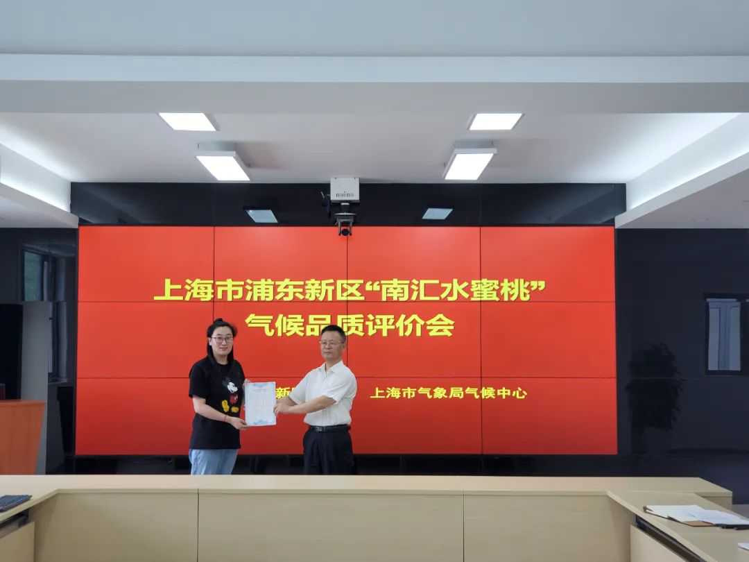 好桃还需好天气！来看南汇水蜜桃的“优秀密码”