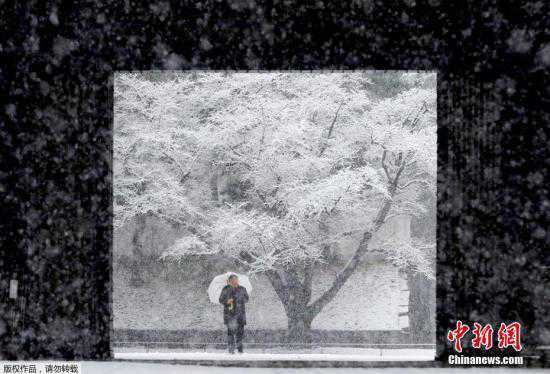东京市中心迎48年以来最冷天气 最低气温零下4度