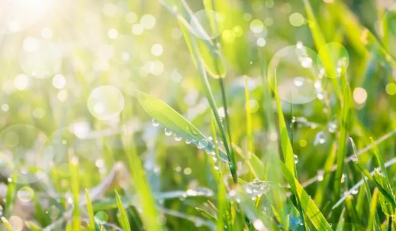 再热两天！7月11日起，眉山迎来降雨→
