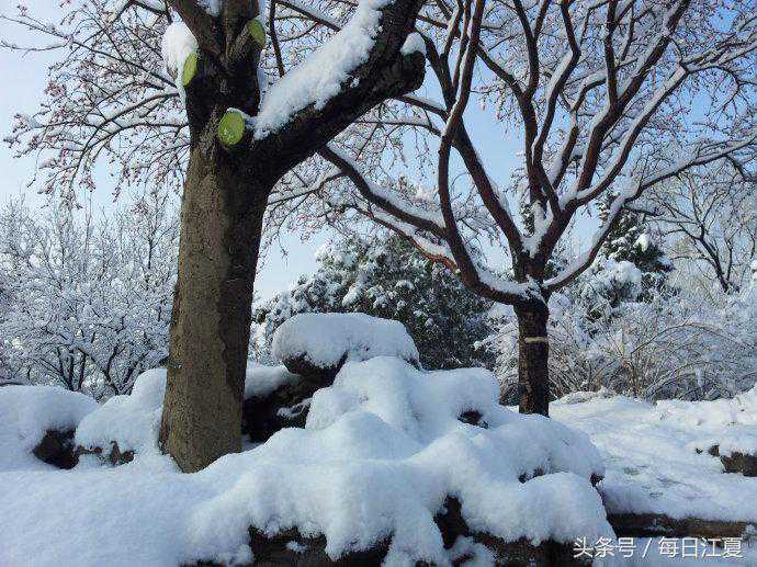 今日凌晨，江夏普降大到暴雪