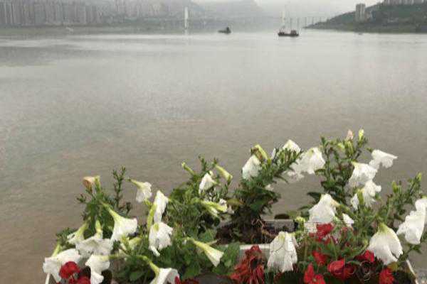 降雨致重庆三峡库区流量激增 未来三天全市气温回升