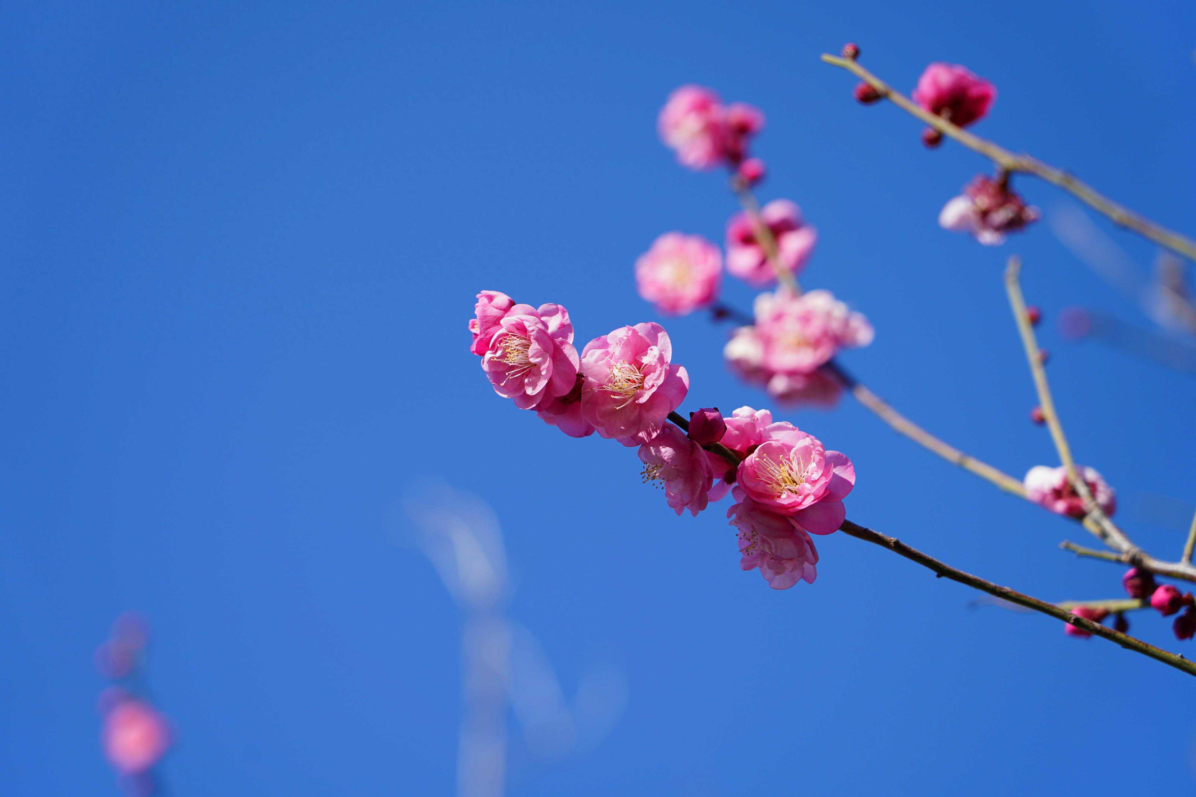 2024年4月8日至4月9日云南省部分风景区天气预报