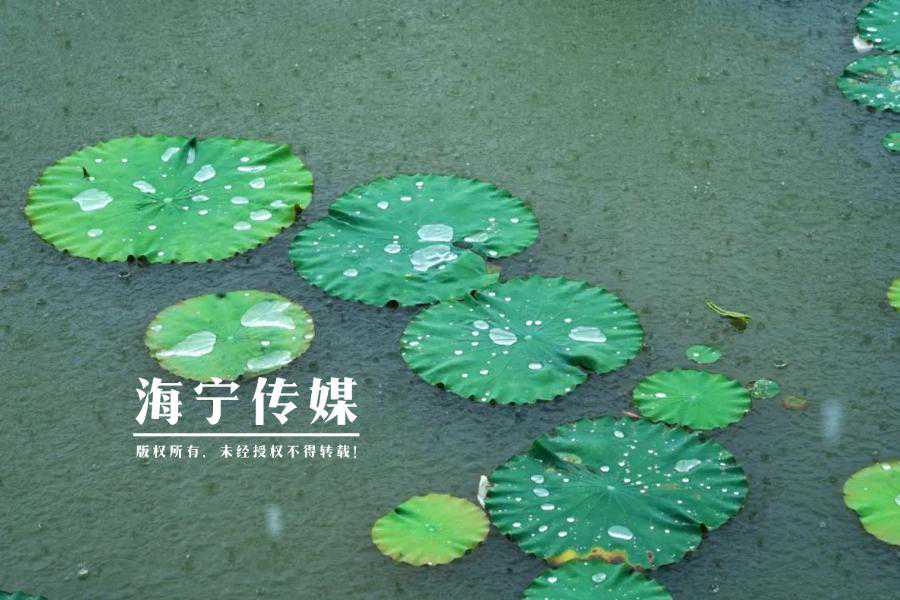 还有5天！海宁将再次迎来…