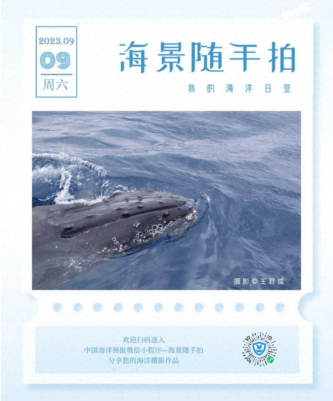 《海洋预报》| 中国近海2022年灾害性海浪分析及2023年预测