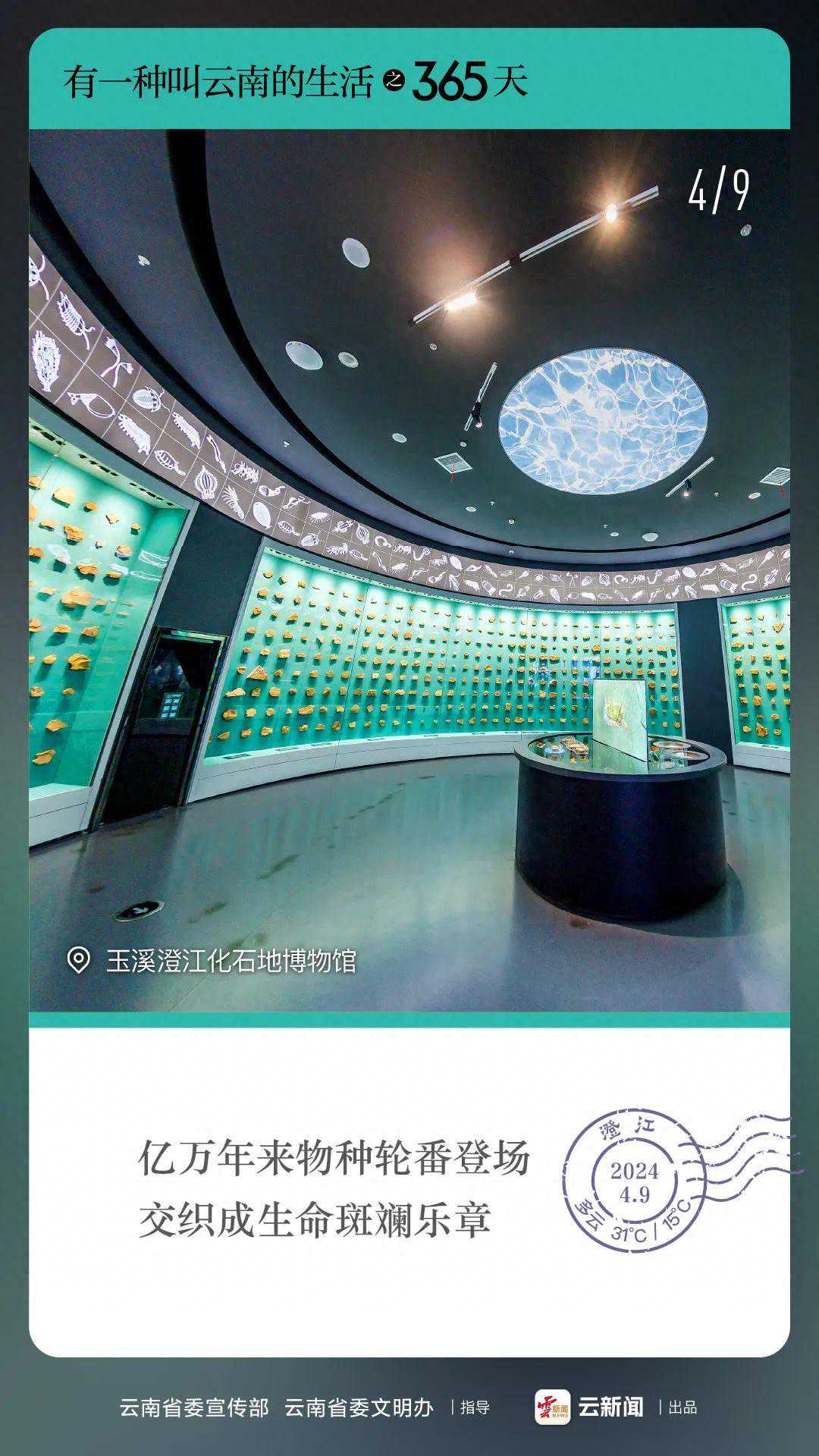 有一种叫云南的生活之365天｜4月9日 来云南 开启通往亿万年前的“时光隧道”