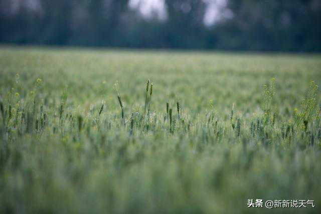 明日8-9号天气预报：新一轮大范围降雨来袭，暴雪大暴雨分布如下