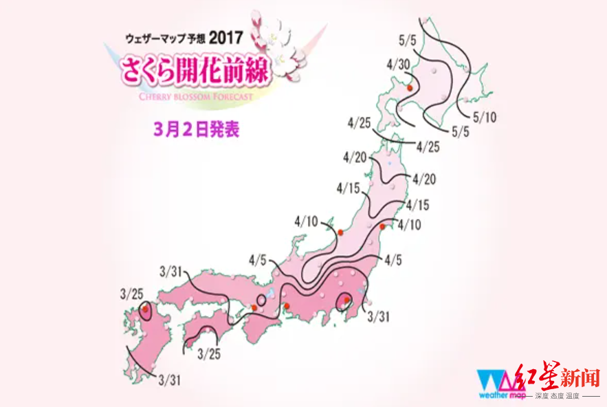 日本樱花观察①｜预测重要程度堪比地震！日本气象观察师：每家都有“独门绝技”