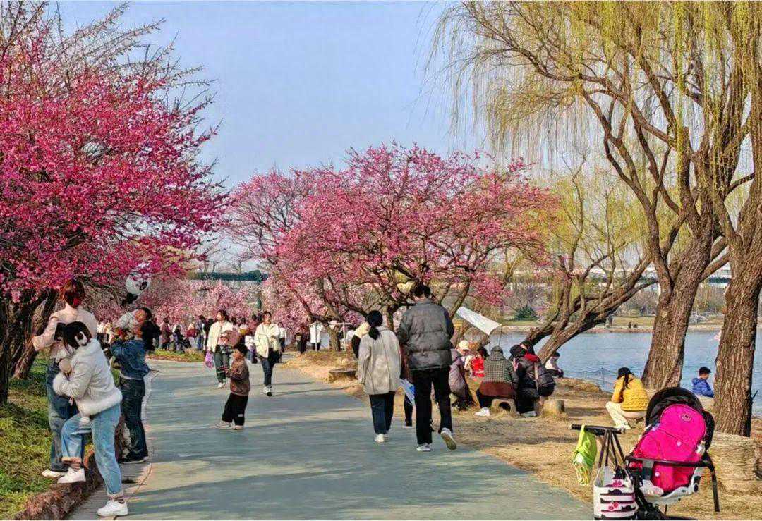 直冲20℃！接下来南通……