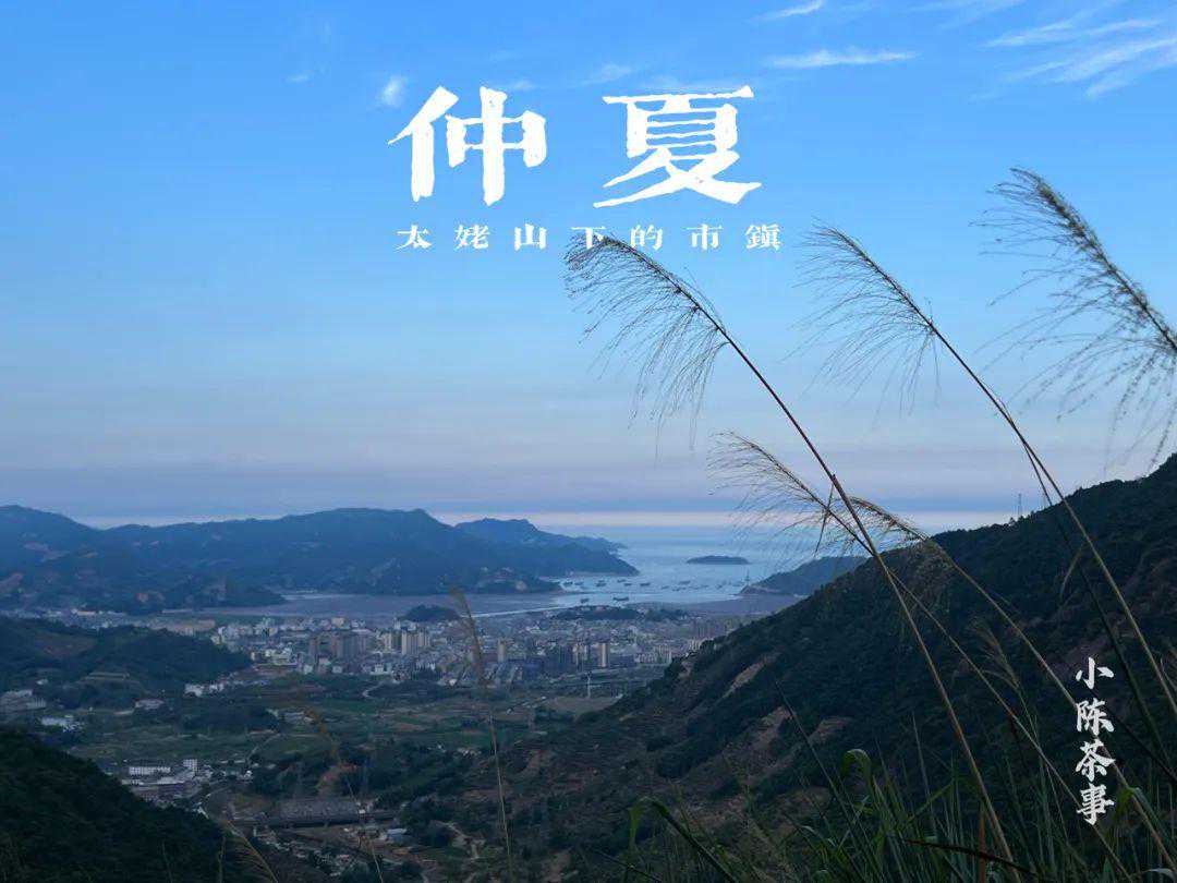 20多天没下雨了，太姥山正在饥渴中，今年的秋白茶还有希望吗？