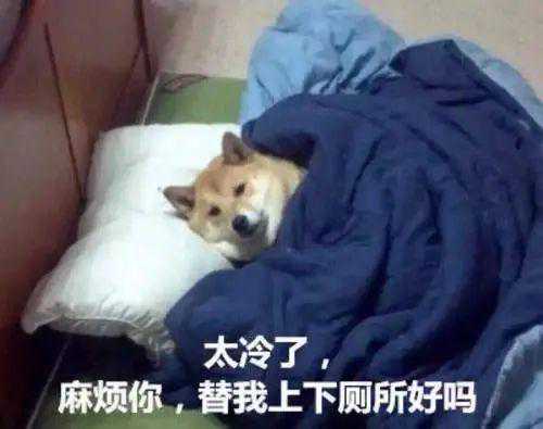 最低气温-15℃！宣化“冻”真҈格҈了҈！