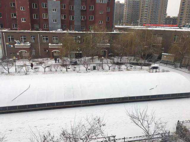 抚顺发布暴雪Ⅲ级预警 预计未来4到6小时还将出现2到4毫米降雪