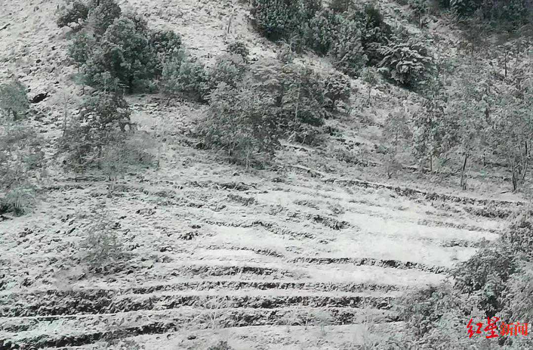 四川最南端的攀枝花都下雪了！最高气温骤降10~12℃