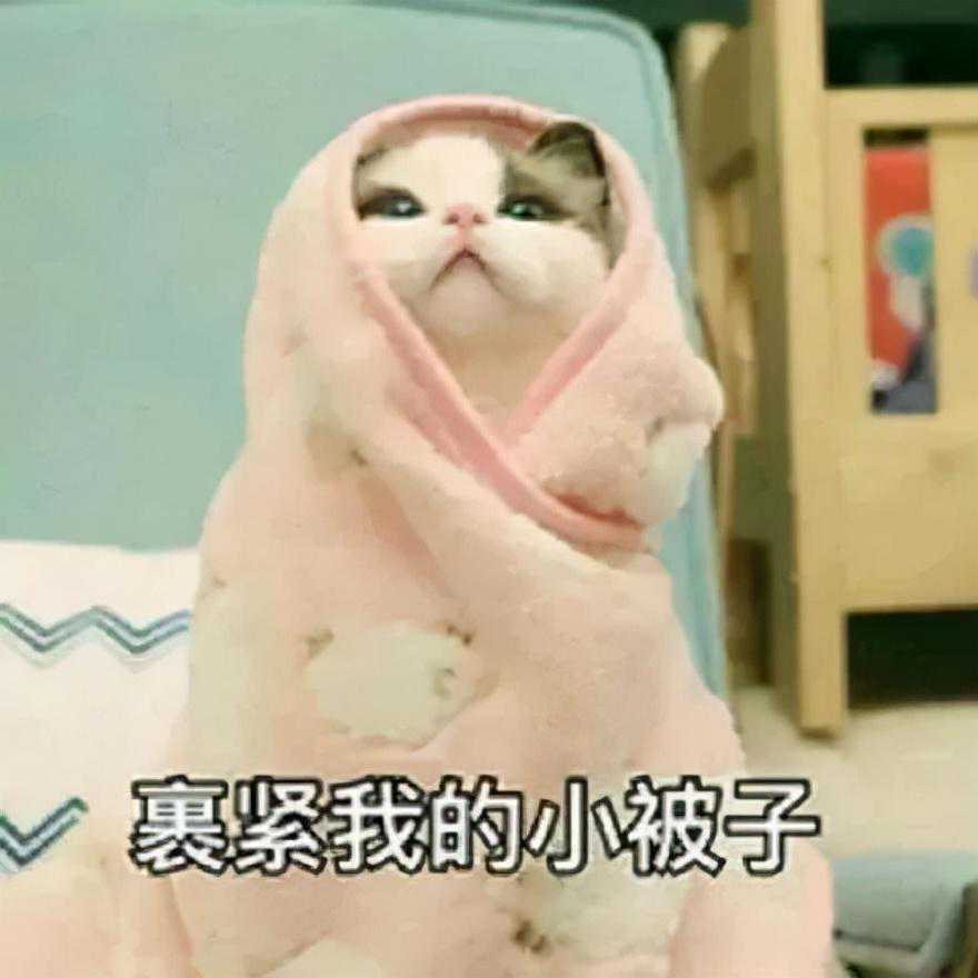 「扩散」刚刚，恩平发布预警！或将“一夜入冬”！最低气温仅……