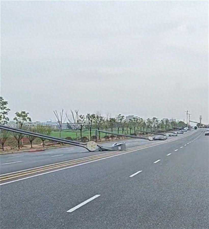 江西高安狂风刮倒成排路灯和大树，还有房屋倒塌，气象局：初判为“飑线”