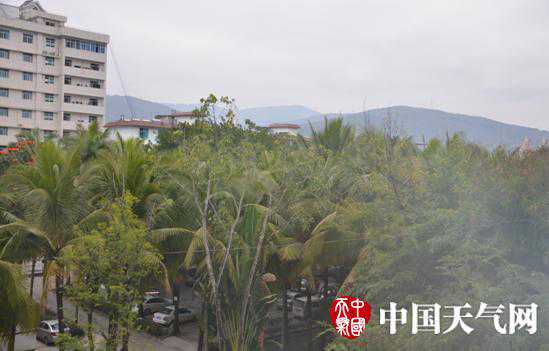 强冷空气至西双版纳气温“沦陷” 景洪48小时温差仅2℃