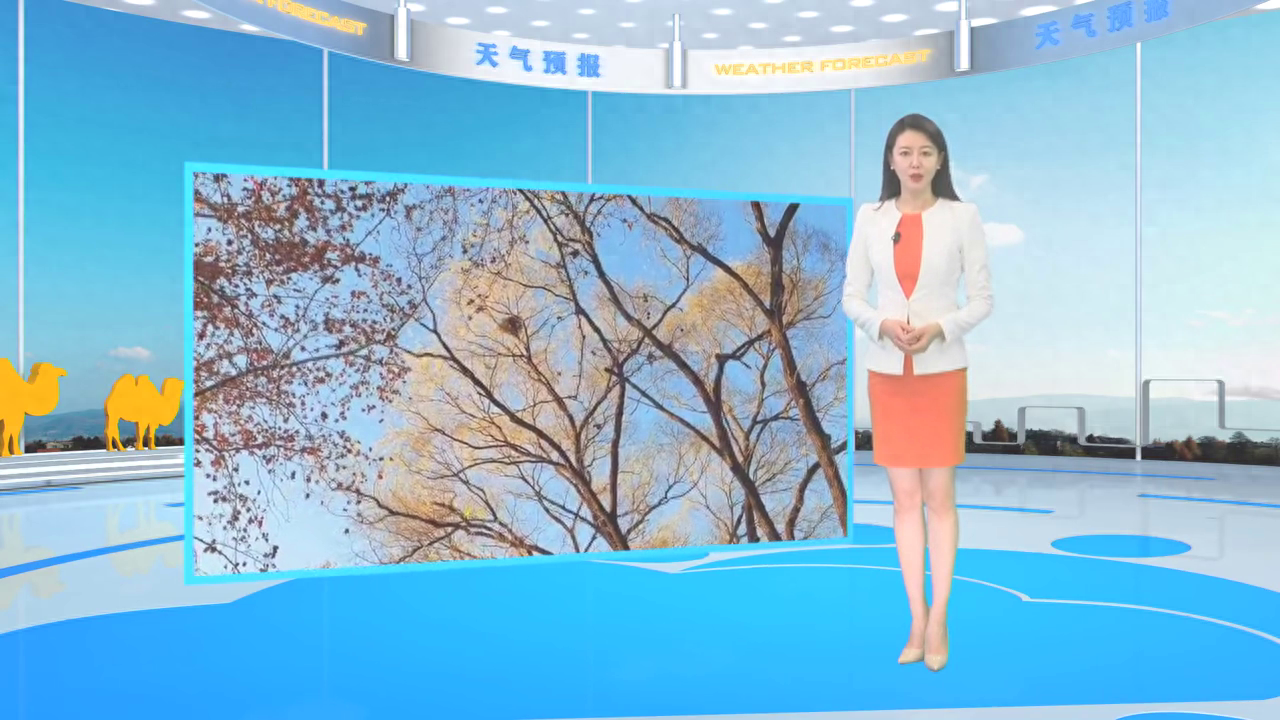 2023年榆林市天气预报#榆林气象影视#天气预报主持人朱珠