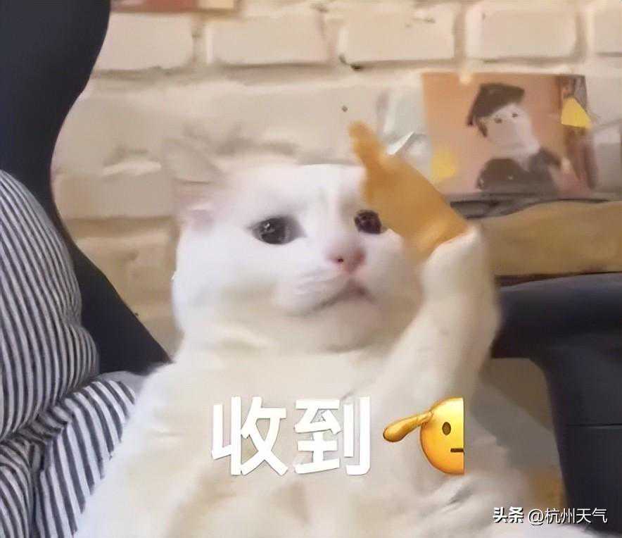 【持续五天，尤其是明天夜里要注意......】
