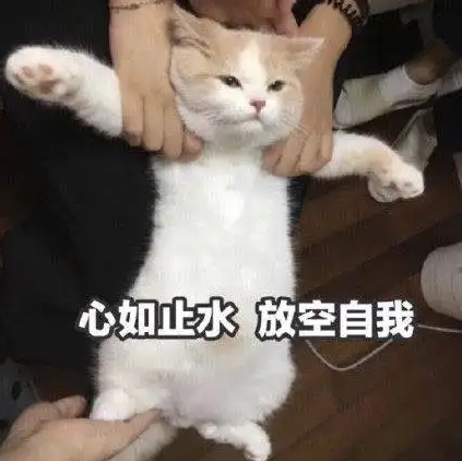 本周雨→晴→雨！好消息是……