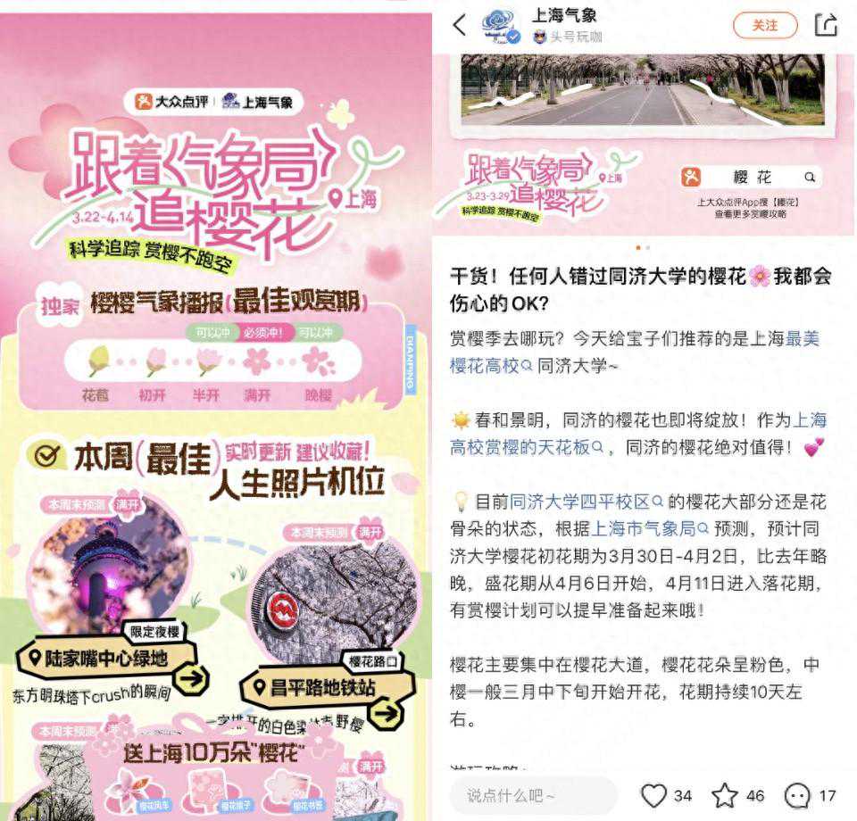 听劝的年轻人，先看上海市气象局“实时花讯”再出门赏花