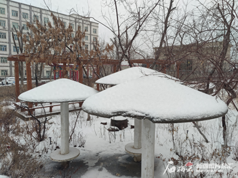 乌鲁木齐雨雪纷纷如约至 满城切切盼春归
