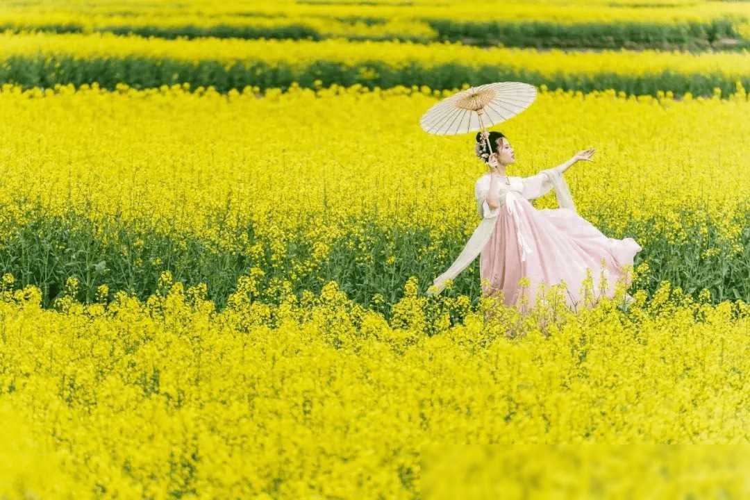 小到中雨，局部大雨，汉中发布重要天气预报→看到评论我却沉默了