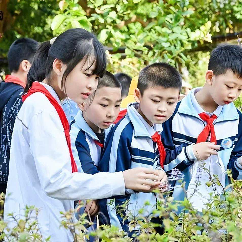 哇！领先800多年！世界上最早……就在厦门→