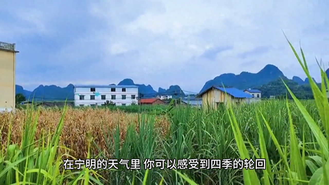 宁明天气