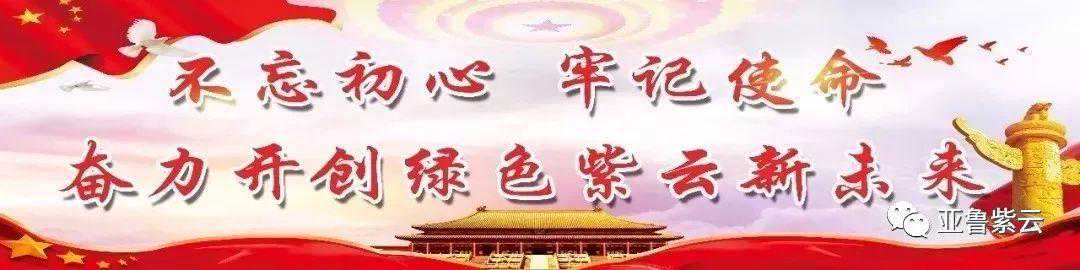 紫云一周天气预报