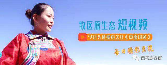西乌旗最新天气预报