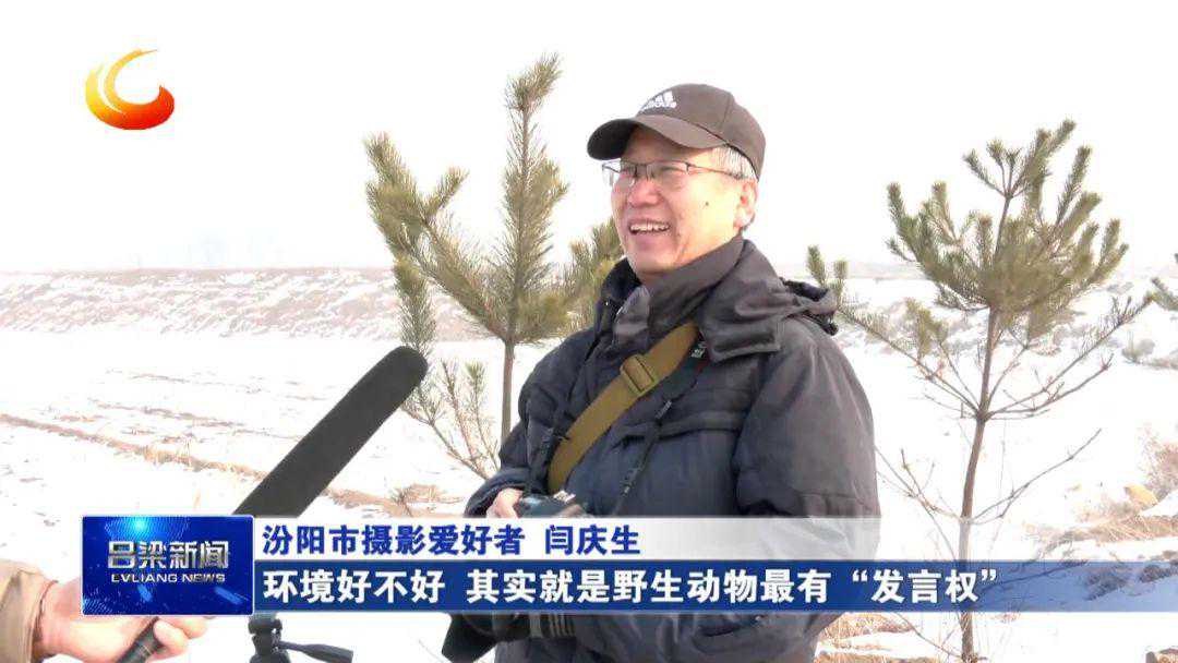 汾阳：214个好天气的背后