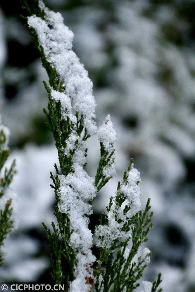 甘肃酒泉遭遇雨夹雪天气