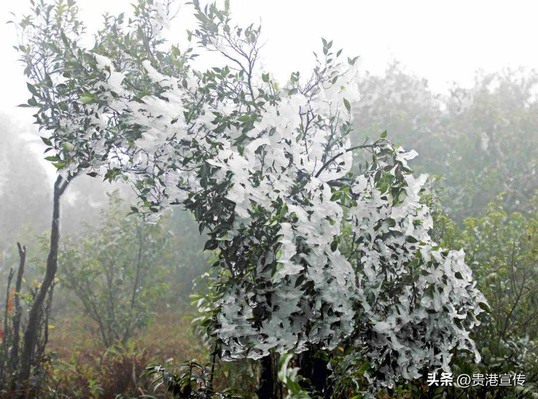 温差↑↓17℃！贵港接下来的天气最低气温4℃
