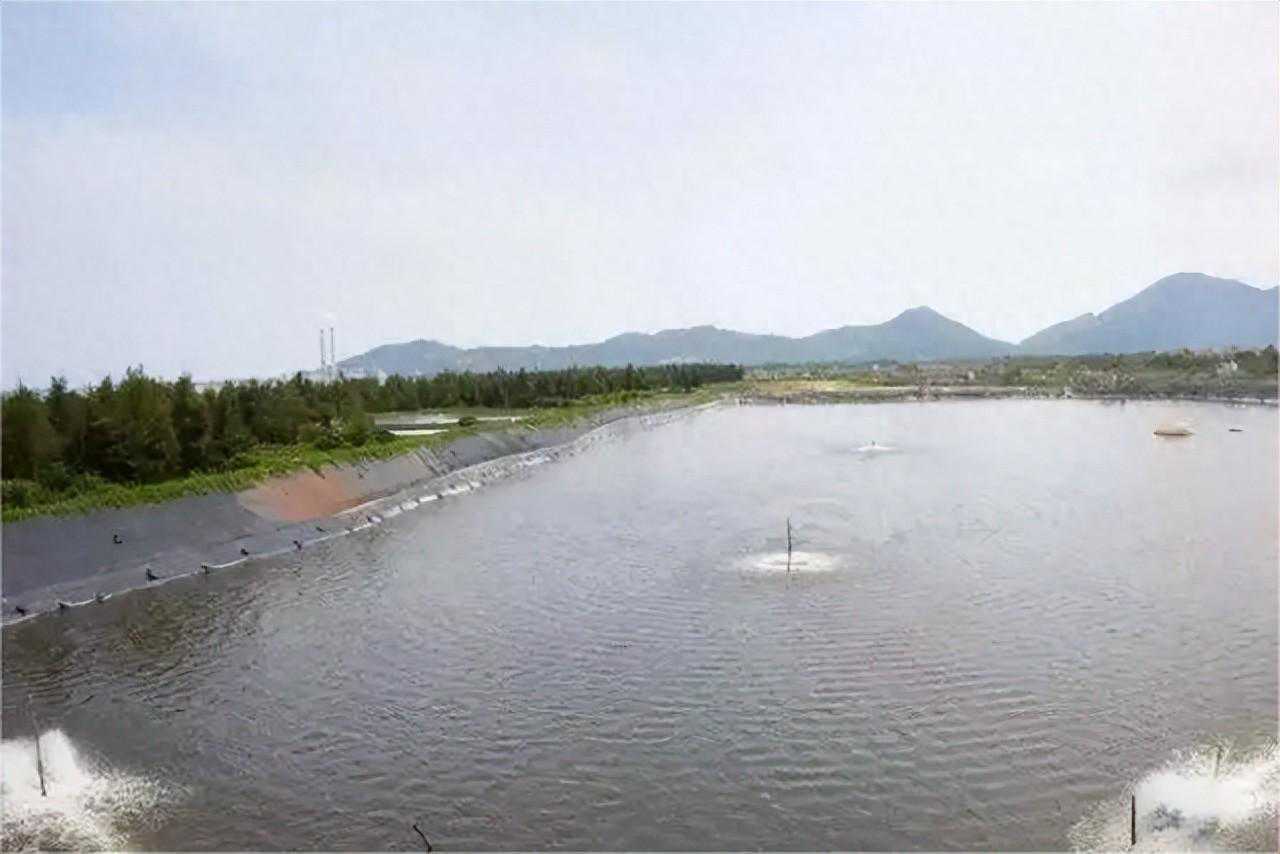 低温天气即将来袭，渔业如何减少损失？