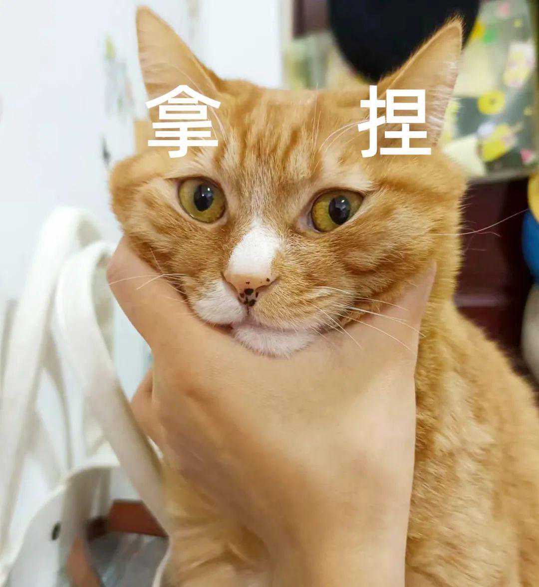 冷空气+雨雨雨！这样的天气还会持续多久？