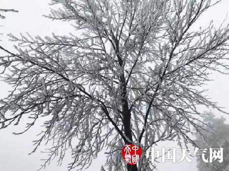 云南马龙迎来雨雪天气 银装素裹美如画