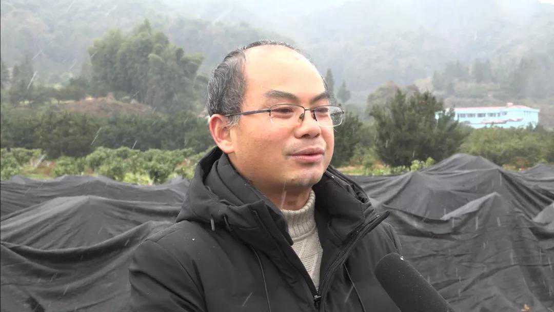 南丰：积极应对雨雪天气 确保桔树安全越冬