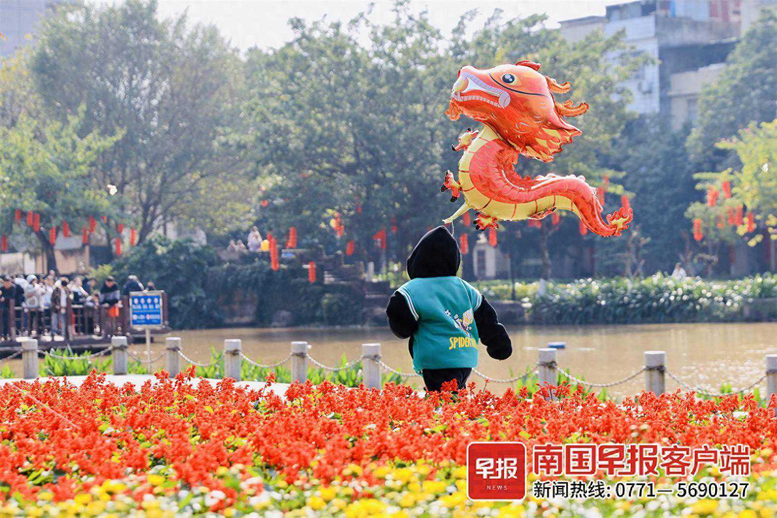 春节好天气！广西阳光上线，气温直奔“2”字头