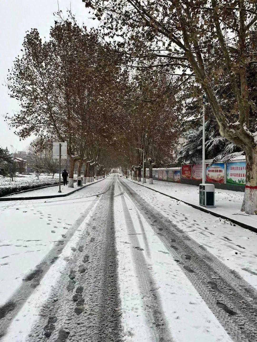 雪还在下！莱芜区最新天气预报、公交停运通知→