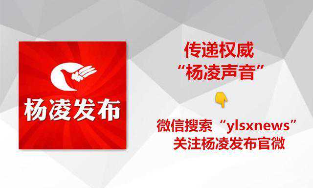 重要提醒：杨凌将迎来降雪降温天气，最低温度-9℃